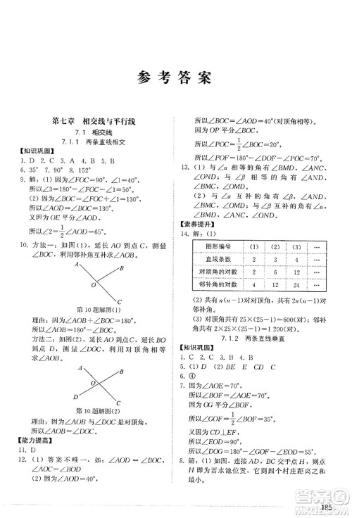 山东教育出版社2025年春初中同步练习册七年级数学下册人教版山东专版答案 山东教育出版社2025年春初中同步练习册七年级数学下册人教版山东专版答案