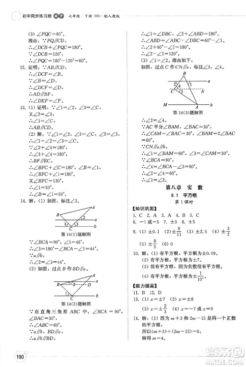 山东教育出版社2025年春初中同步练习册七年级数学下册人教版山东专版答案 山东教育出版社2025年春初中同步练习册七年级数学下册人教版山东专版答案