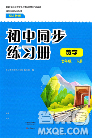 大象出版社2025年春初中同步练习册七年级数学下册人教版山东专版答案 大象出版社2025年春初中同步练习册七年级数学下册人教版山东专版答案