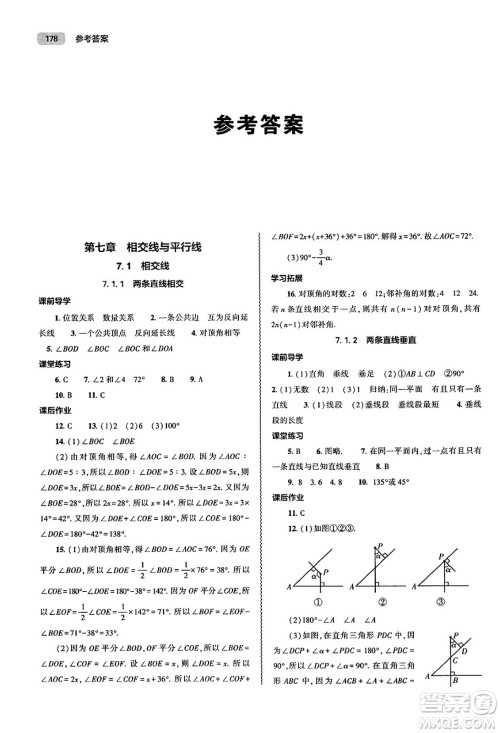 大象出版社2025年春初中同步练习册七年级数学下册人教版山东专版答案 大象出版社2025年春初中同步练习册七年级数学下册人教版山东专版答案