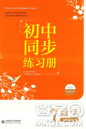 北京师范大学出版社2025年春初中同步练习册七年级数学下册北师大版答案 北京师范大学出版社2025年春初中同步练习册七年级数学下册北师大版答案