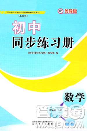 山东教育出版社2025年春初中同步练习册七年级数学下册鲁教版五四制答案 山东教育出版社2025年春初中同步练习册七年级数学下册鲁教版五四制答案