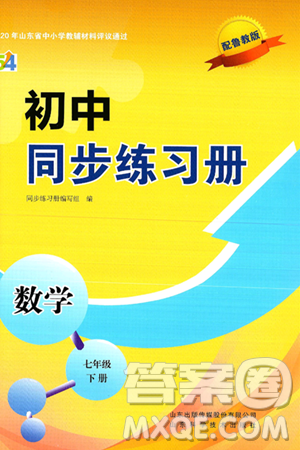 山东科学技术出版社2025年春初中同步练习册七年级数学下册鲁教版五四制答案 山东科学技术出版社2025年春初中同步练习册七年级数学下册鲁教版五四制答案