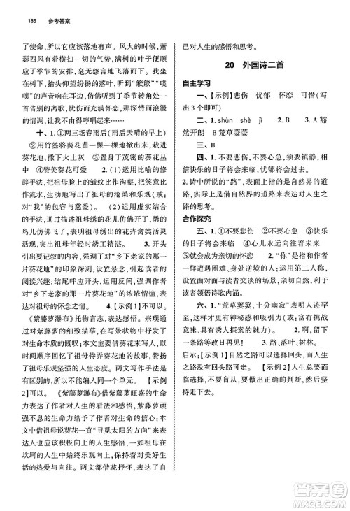 大象出版社2025年春初中同步练习册七年级语文下册人教版山东专版答案 大象出版社2025年春初中同步练习册七年级语文下册人教版山东专版答案