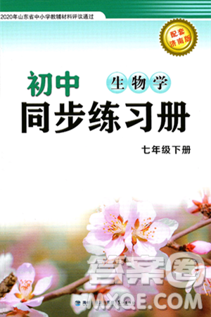 鹭江出版社2025年春初中同步练习册七年级生物下册济南版答案 鹭江出版社2025年春初中同步练习册七年级生物下册济南版答案