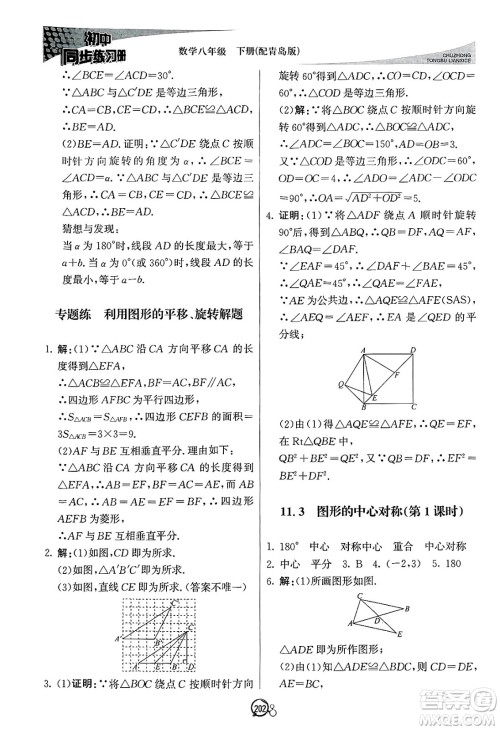 北京教育出版社2025年春初中同步练习册八年级数学下册青岛版答案 北京教育出版社2025年春初中同步练习册八年级数学下册青岛版答案
