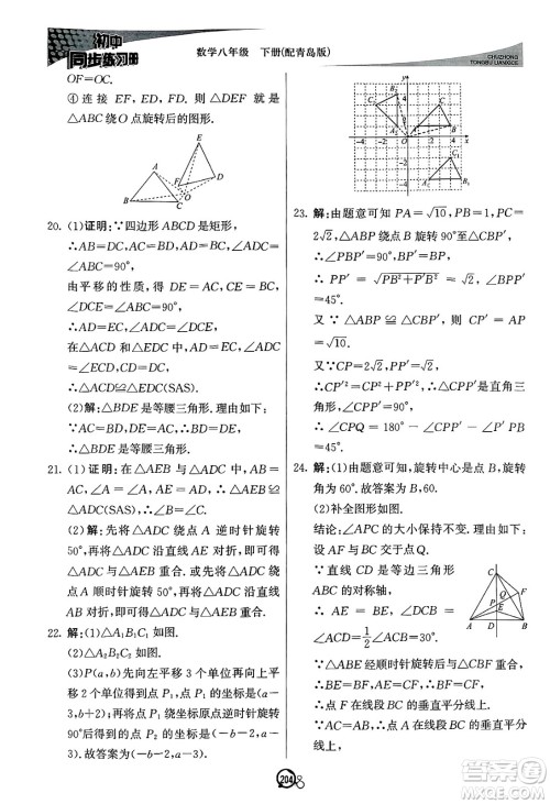 北京教育出版社2025年春初中同步练习册八年级数学下册青岛版答案 北京教育出版社2025年春初中同步练习册八年级数学下册青岛版答案