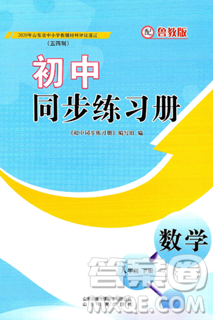 山东教育出版社2025年春初中同步练习册八年级数学下册鲁教版五四制答案 山东教育出版社2025年春初中同步练习册八年级数学下册鲁教版五四制答案