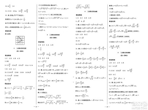 北京师范大学出版社2025年春初中同步练习册八年级数学下册鲁教版五四制答案 北京师范大学出版社2025年春初中同步练习册八年级数学下册鲁教版五四制答案