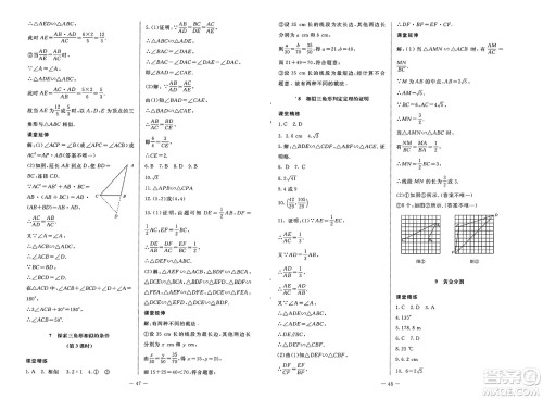 北京师范大学出版社2025年春初中同步练习册八年级数学下册鲁教版五四制答案 北京师范大学出版社2025年春初中同步练习册八年级数学下册鲁教版五四制答案