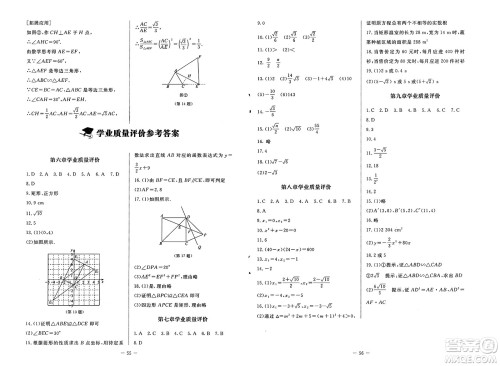 北京师范大学出版社2025年春初中同步练习册八年级数学下册鲁教版五四制答案 北京师范大学出版社2025年春初中同步练习册八年级数学下册鲁教版五四制答案