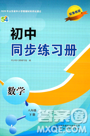 山东科学技术出版社2025年春初中同步练习册八年级数学下册鲁教版五四制答案 山东科学技术出版社2025年春初中同步练习册八年级数学下册鲁教版五四制答案