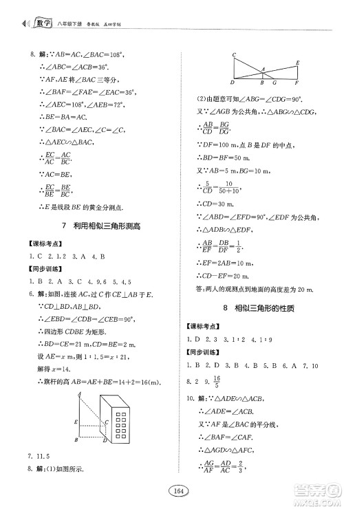 山东科学技术出版社2025年春初中同步练习册八年级数学下册鲁教版五四制答案 山东科学技术出版社2025年春初中同步练习册八年级数学下册鲁教版五四制答案