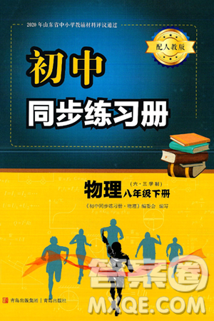 青岛出版社2025年春初中同步练习册八年级物理下册人教版答案 青岛出版社2025年春初中同步练习册八年级物理下册人教版答案