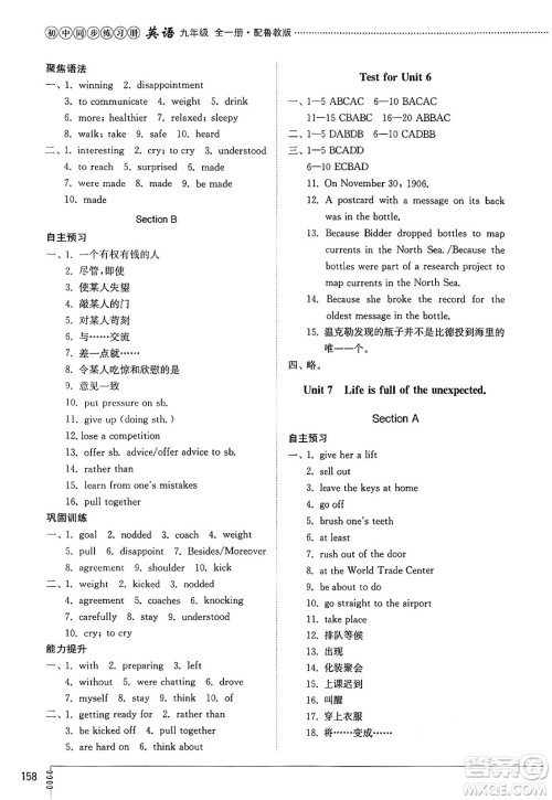 山东教育出版社2025年春初中同步练习册九年级英语下册鲁教版五四制答案 山东教育出版社2025年春初中同步练习册九年级英语下册鲁教版五四制答案