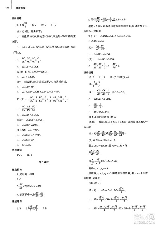 大象出版社2025年春初中同步练习册九年级数学下册人教版山东专版答案 大象出版社2025年春初中同步练习册九年级数学下册人教版山东专版答案
