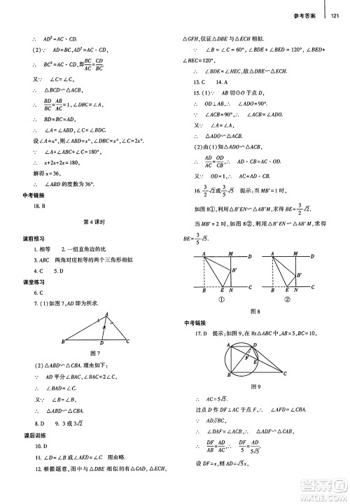 大象出版社2025年春初中同步练习册九年级数学下册人教版山东专版答案 大象出版社2025年春初中同步练习册九年级数学下册人教版山东专版答案
