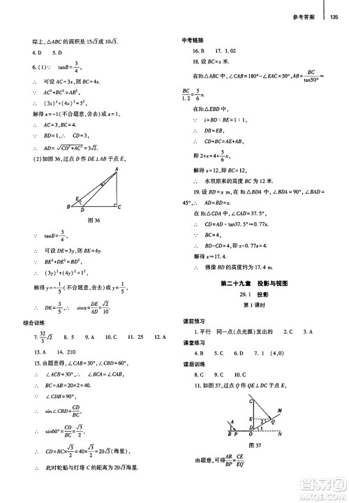 大象出版社2025年春初中同步练习册九年级数学下册人教版山东专版答案 大象出版社2025年春初中同步练习册九年级数学下册人教版山东专版答案