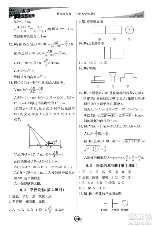 北京教育出版社2025年春初中同步练习册九年级数学下册青岛版答案 北京教育出版社2025年春初中同步练习册九年级数学下册青岛版答案