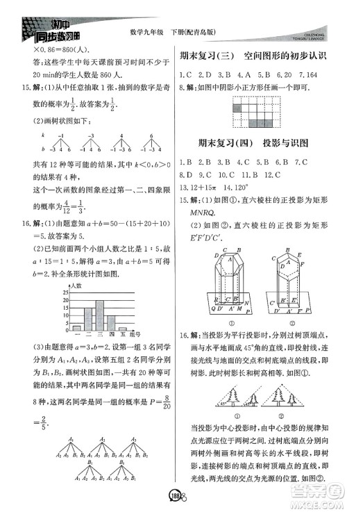 北京教育出版社2025年春初中同步练习册九年级数学下册青岛版答案 北京教育出版社2025年春初中同步练习册九年级数学下册青岛版答案