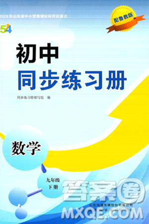 山东科学技术出版社2025年春初中同步练习册九年级数学下册鲁教版五四制答案 山东科学技术出版社2025年春初中同步练习册九年级数学下册鲁教版五四制答案