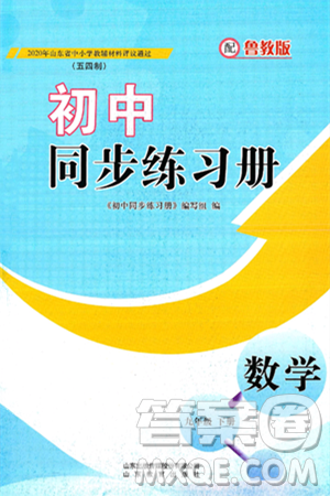 山东教育出版社2025年春初中同步练习册九年级数学下册鲁教版五四制答案 山东教育出版社2025年春初中同步练习册九年级数学下册鲁教版五四制答案