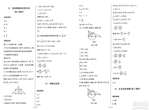 北京师范大学出版社2025年春初中同步练习册九年级数学下册鲁教版五四制答案 北京师范大学出版社2025年春初中同步练习册九年级数学下册鲁教版五四制答案