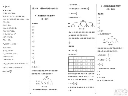 北京师范大学出版社2025年春初中同步练习册九年级数学下册鲁教版五四制答案 北京师范大学出版社2025年春初中同步练习册九年级数学下册鲁教版五四制答案