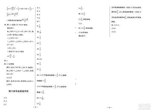 北京师范大学出版社2025年春初中同步练习册九年级数学下册鲁教版五四制答案 北京师范大学出版社2025年春初中同步练习册九年级数学下册鲁教版五四制答案