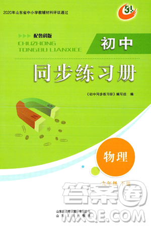 山东人民出版社2025年春初中同步练习册九年级物理下册鲁科版五四制答案