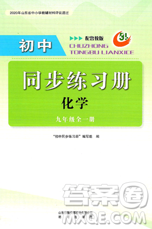 明天出版社2025年春初中同步练习册九年级化学下册鲁教版五四制答案