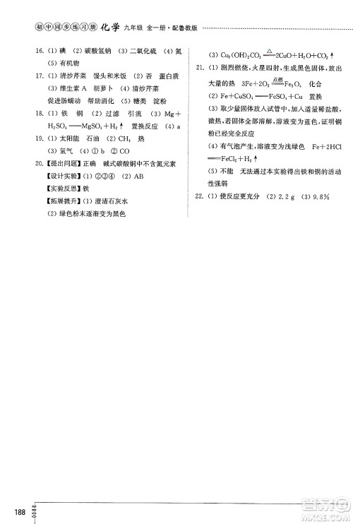 山东教育出版社2025年春初中同步练习册九年级化学下册鲁教版五四制答案 山东教育出版社2025年春初中同步练习册九年级化学下册鲁教版五四制答案