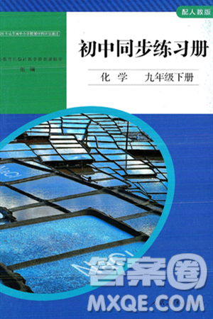 人民教育出版社2025年春初中同步练习册九年级化学下册人教版答案