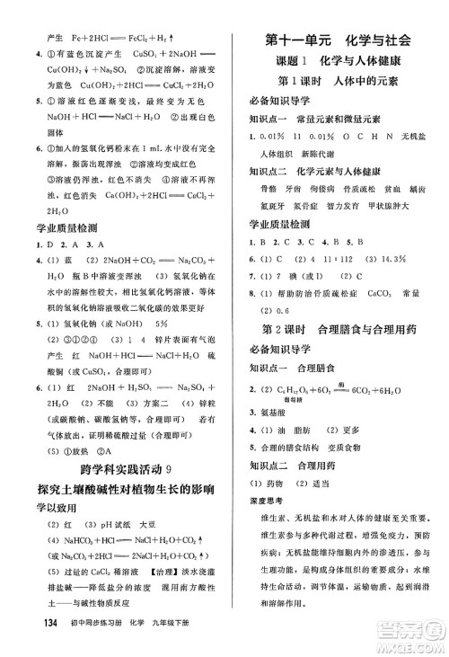 人民教育出版社2025年春初中同步练习册九年级化学下册人教版答案