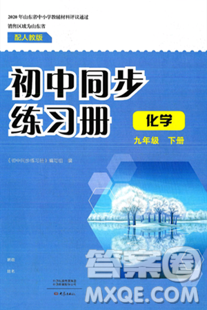 大象出版社2025年春初中同步练习册九年级化学下册人教版山东专版答案 大象出版社2025年春初中同步练习册九年级化学下册人教版山东专版答案