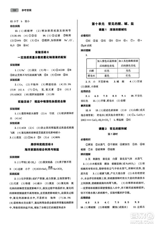 大象出版社2025年春初中同步练习册九年级化学下册人教版山东专版答案 大象出版社2025年春初中同步练习册九年级化学下册人教版山东专版答案