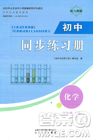 山东人民出版社2025年春初中同步练习册九年级化学下册人教版山东专版答案