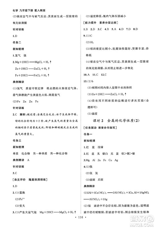 山东人民出版社2025年春初中同步练习册九年级化学下册人教版山东专版答案