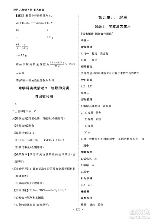 山东人民出版社2025年春初中同步练习册九年级化学下册人教版山东专版答案
