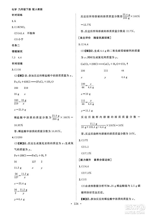 山东人民出版社2025年春初中同步练习册九年级化学下册人教版山东专版答案
