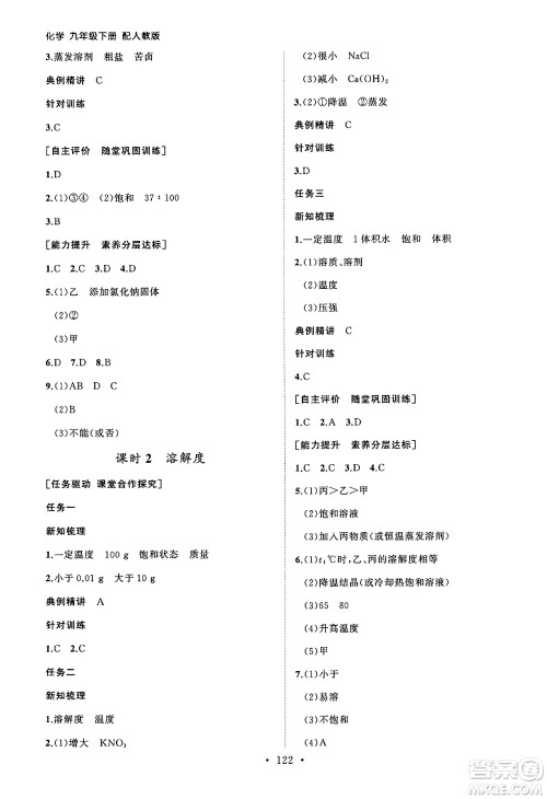 山东人民出版社2025年春初中同步练习册九年级化学下册人教版山东专版答案
