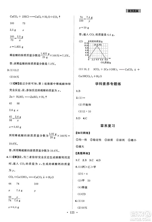 山东人民出版社2025年春初中同步练习册九年级化学下册人教版山东专版答案