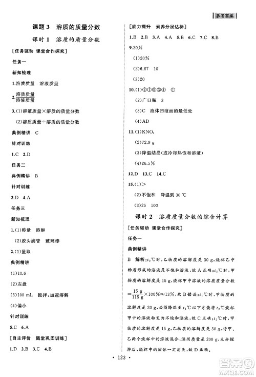 山东人民出版社2025年春初中同步练习册九年级化学下册人教版山东专版答案