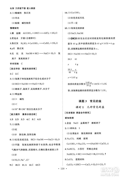 山东人民出版社2025年春初中同步练习册九年级化学下册人教版山东专版答案