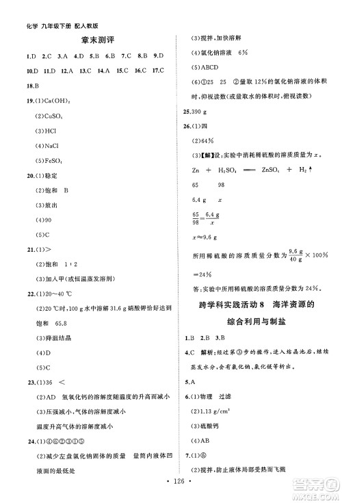 山东人民出版社2025年春初中同步练习册九年级化学下册人教版山东专版答案