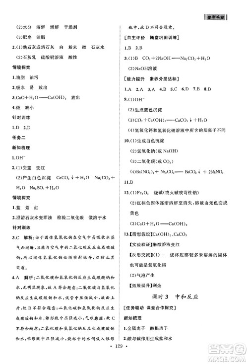 山东人民出版社2025年春初中同步练习册九年级化学下册人教版山东专版答案