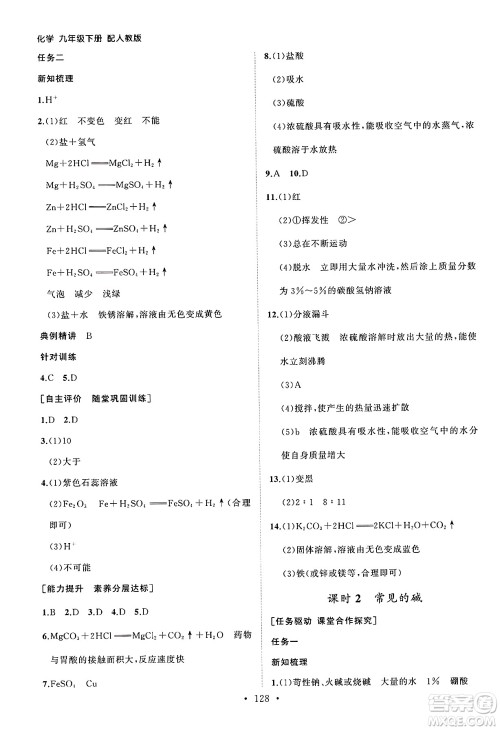 山东人民出版社2025年春初中同步练习册九年级化学下册人教版山东专版答案