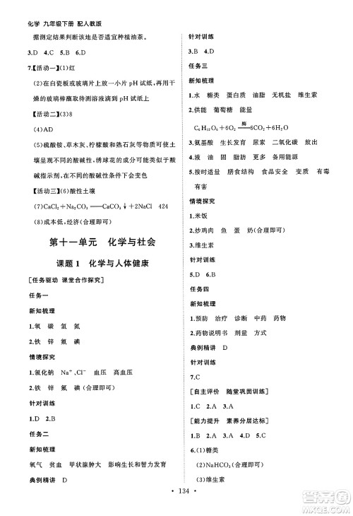 山东人民出版社2025年春初中同步练习册九年级化学下册人教版山东专版答案