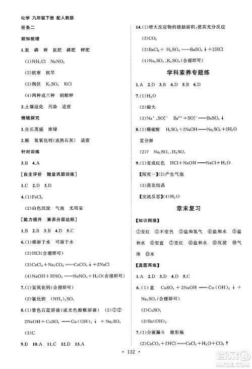 山东人民出版社2025年春初中同步练习册九年级化学下册人教版山东专版答案