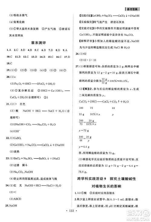 山东人民出版社2025年春初中同步练习册九年级化学下册人教版山东专版答案